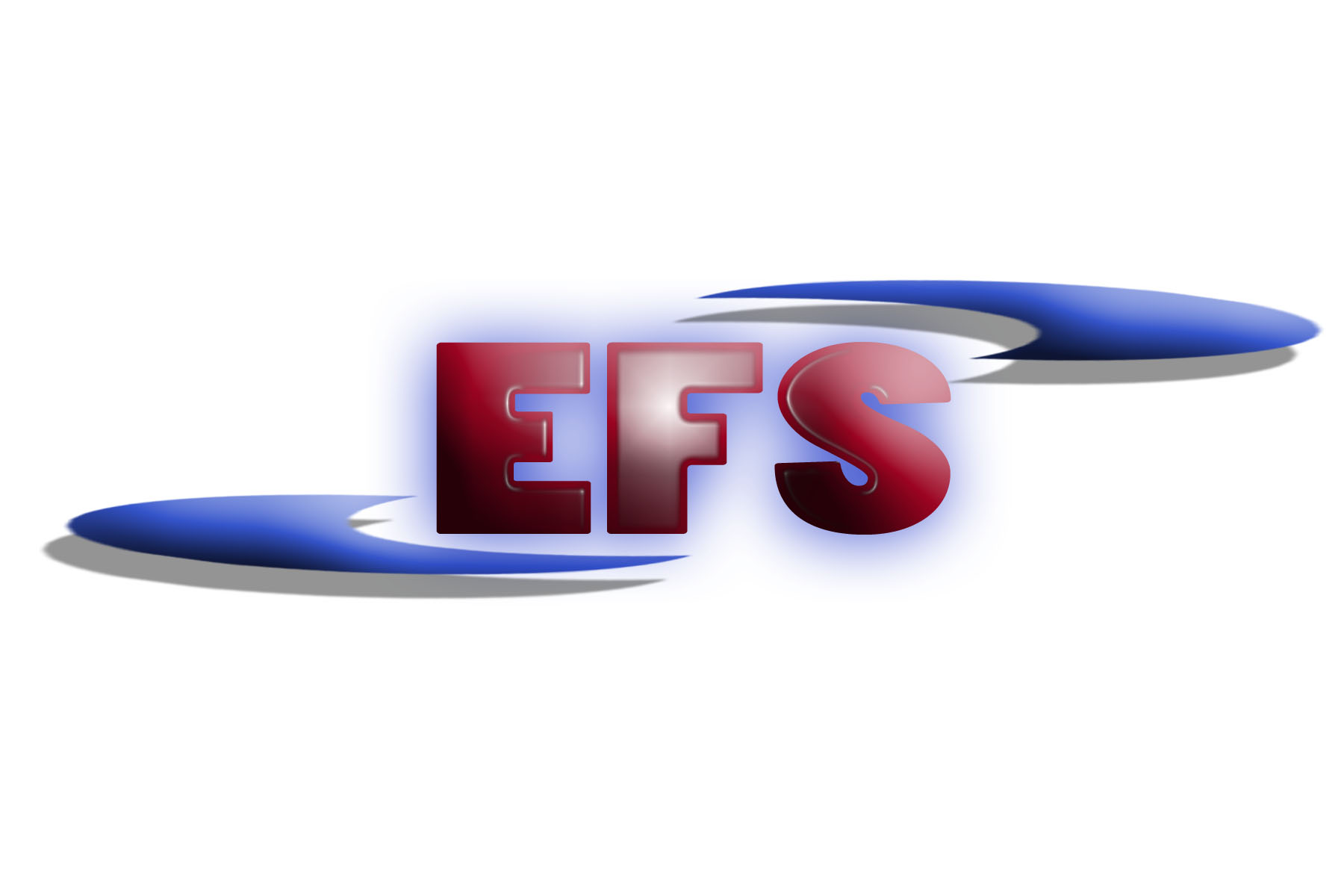 efs.com